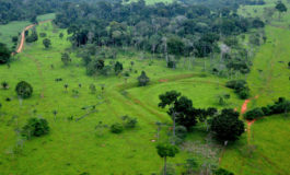 Amazzonia: persa un'area di foresta equivalente a 1,4 milioni di campi di calcio