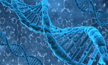Il DNA per prevenire l'insorgenza di malattie degenerative