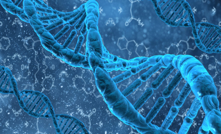 Il DNA per prevenire l’insorgenza di malattie degenerative
