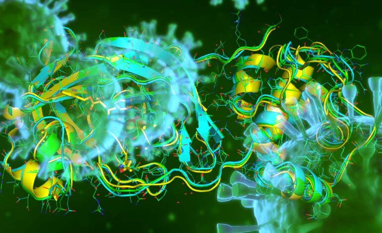 Il Cnr svela perchè alcuni sono immuni al Coronavirus