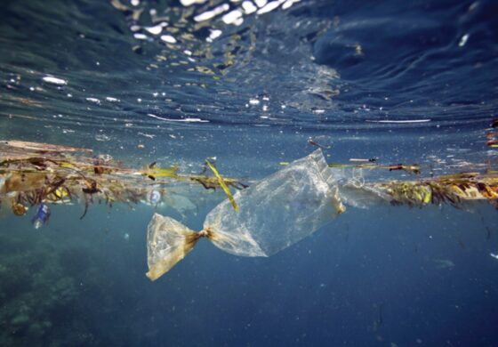 Microfibre tessili nei mari - L'8% è sintetico