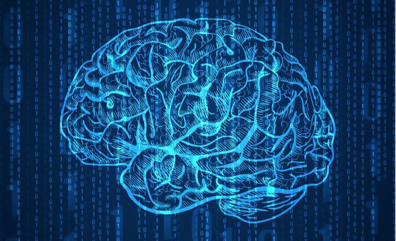 I probiotici aiutano a proteggere e migliorare le funzioni cerebrali