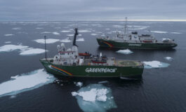 Greenpeace in Antartide per una missione scientifica