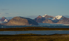 La tundra artica controlla lo scambio di CO2 tra suolo, vegetazione e atmosfera