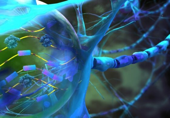 Sindrome ICF - Strategia innovativa per correzione genetica