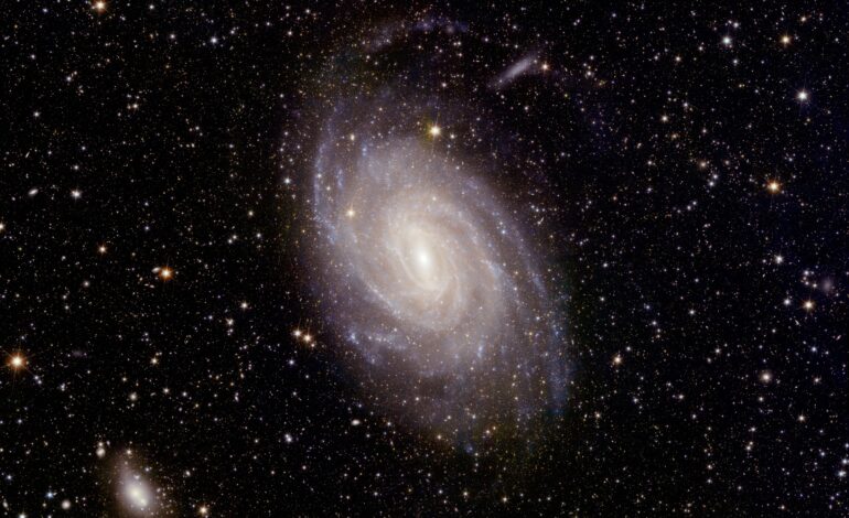 Galassie, stelle e ammassi – Nuove immagini incredibili da Euclid