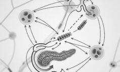 Diabete autoimmune e celiachia: il glutine non è il fattore scatenante del diabete di tipo 1