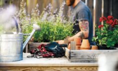 Il giardinaggio come terapia green per il benessere mentale e fisico